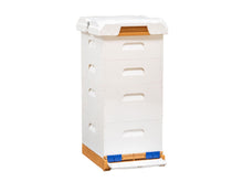 Load image into Gallery viewer, Apimaye Propola® Fusion Hive | Double Deep &amp; Double Medium
