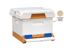 Load image into Gallery viewer, Apimaye Propola® Fusion Hive | Single Brood
