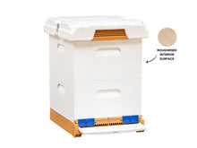 Load image into Gallery viewer, Apimaye Propola® Fusion Hive | Double Brood
